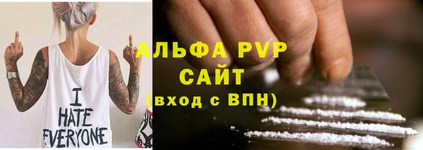 индика Аркадак