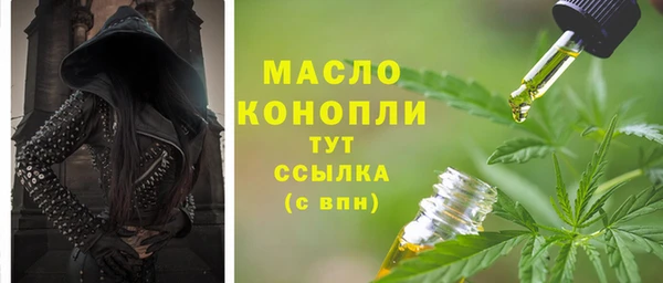 индика Аркадак
