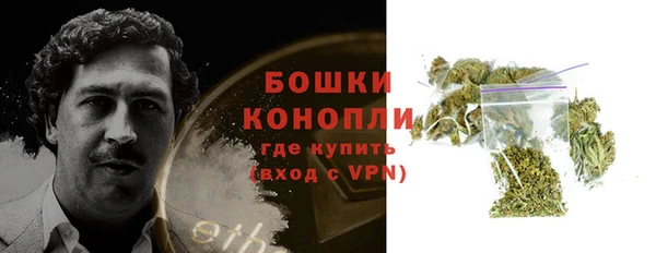 индика Аркадак