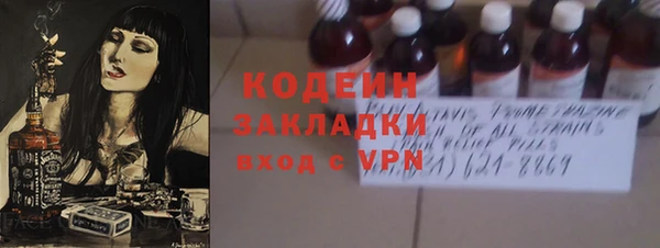 индика Аркадак
