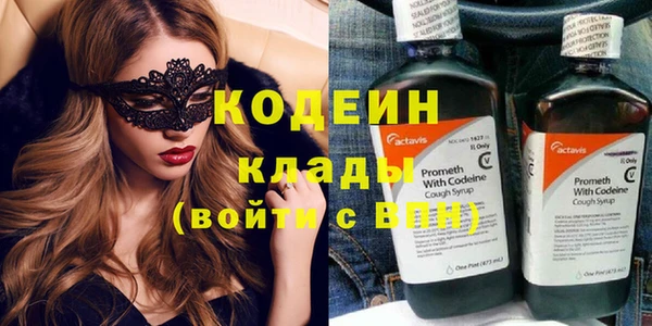 индика Аркадак