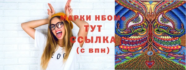 индика Аркадак