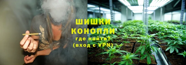 spice Алзамай