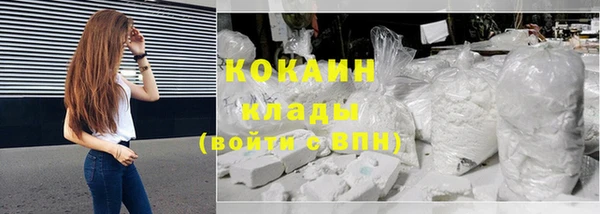 индика Аркадак