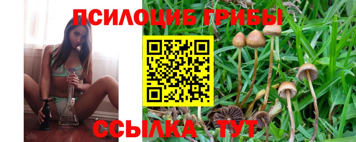 Галлюциногенные грибы мухоморы Саров